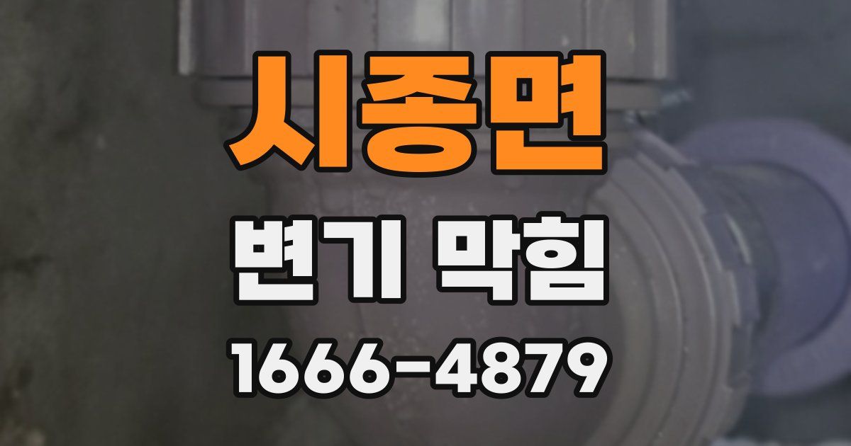 시종면 변기 막힘