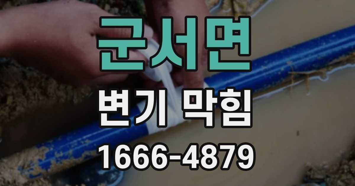 군서면 변기 막힘