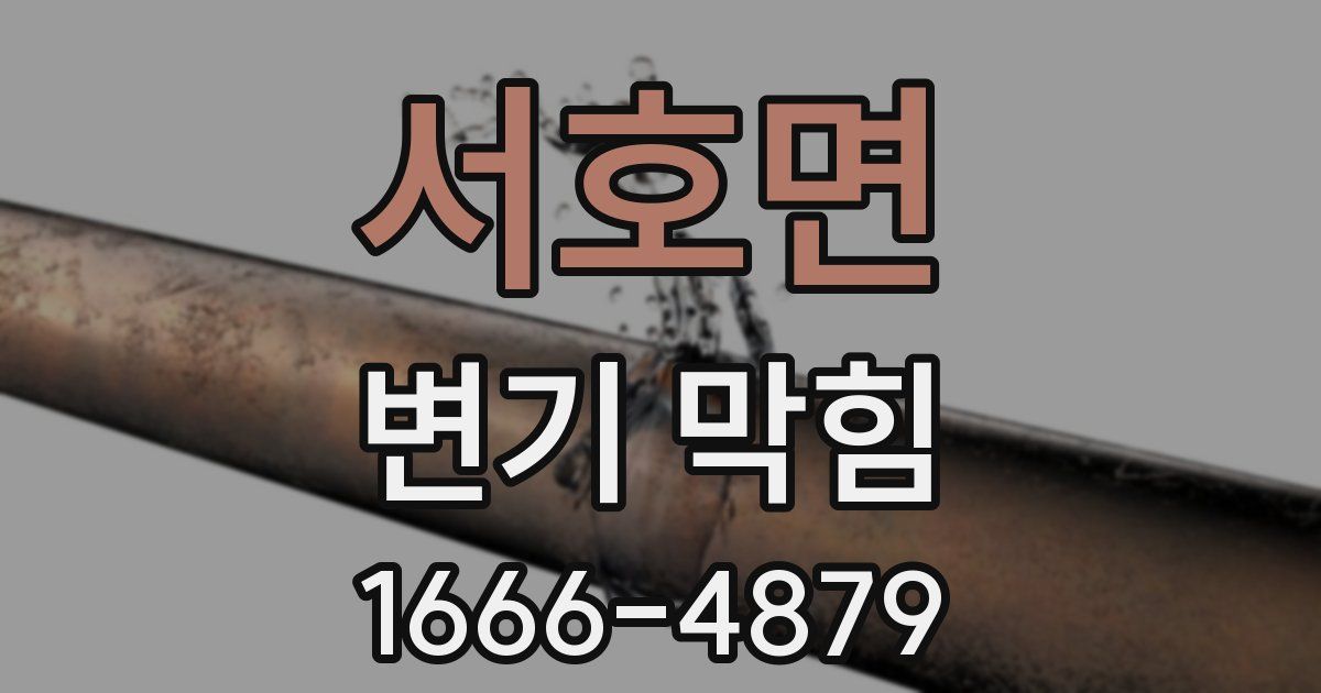 서호면 변기 막힘