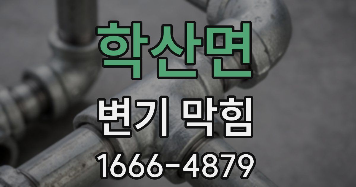 학산면 변기 막힘