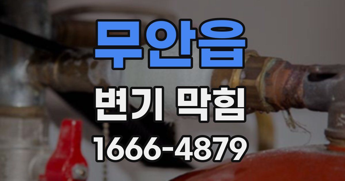 무안읍 변기 막힘