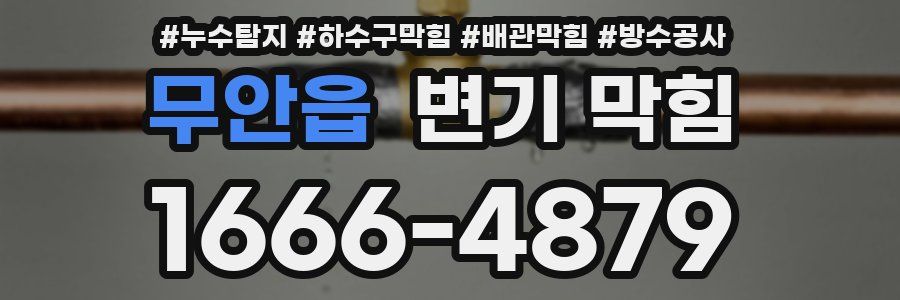 무안읍 변기 막힘