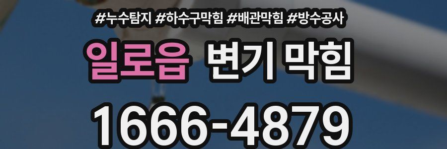 일로읍 변기 막힘