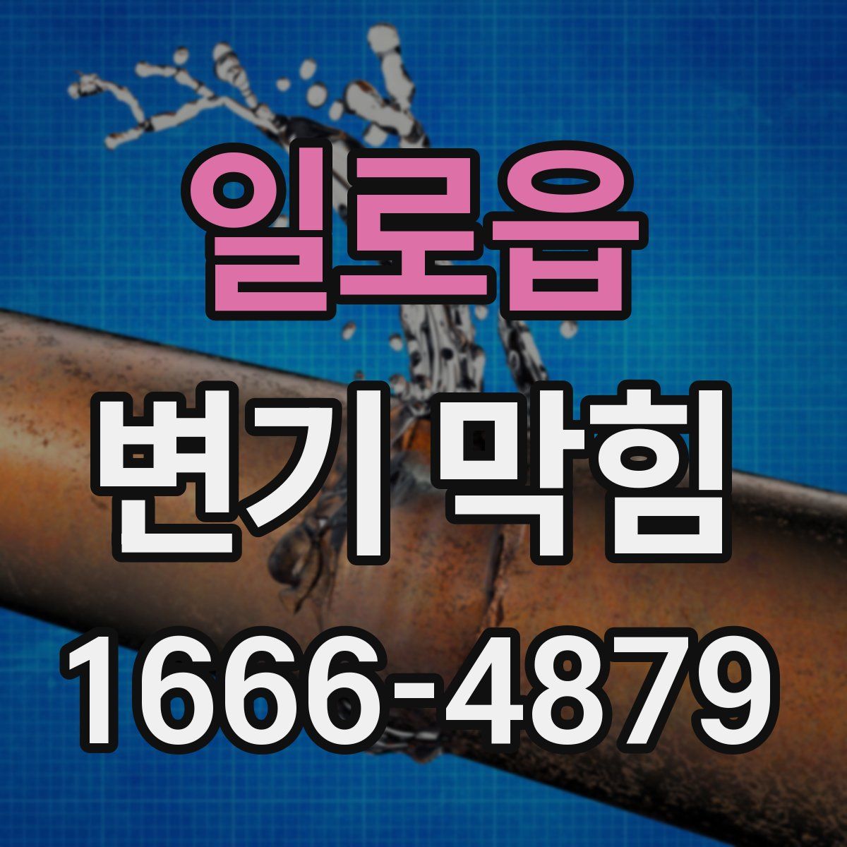일로읍 변기 막힘