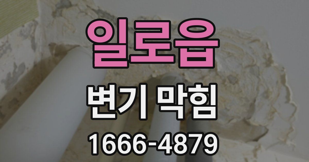 일로읍 변기 막힘