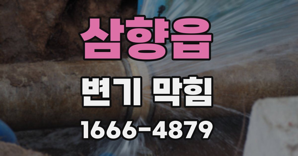 삼향읍 변기 막힘