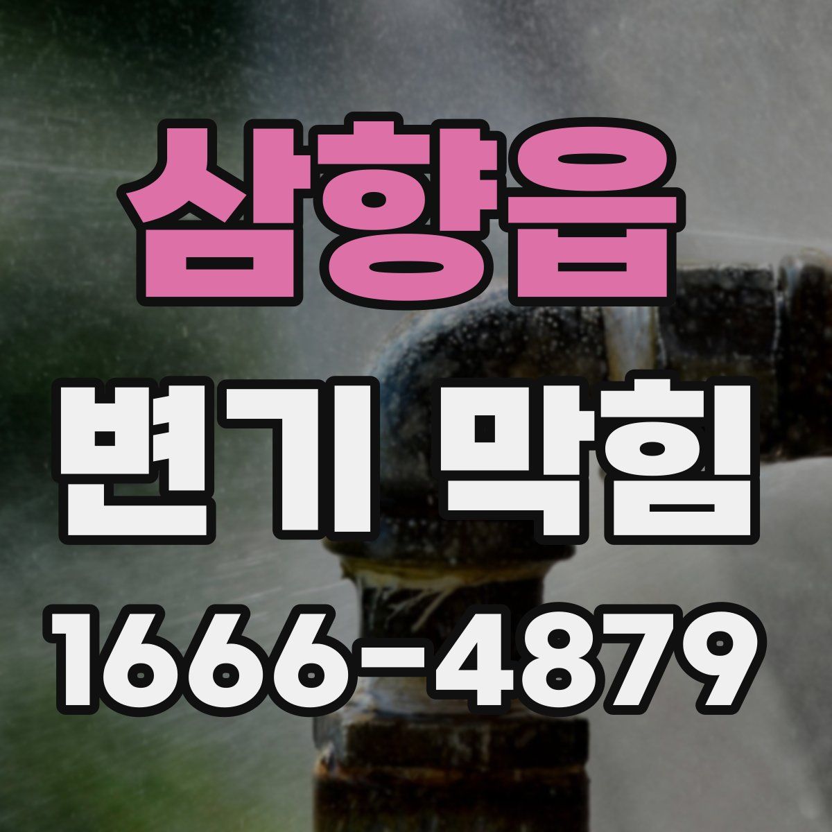 삼향읍 변기 막힘