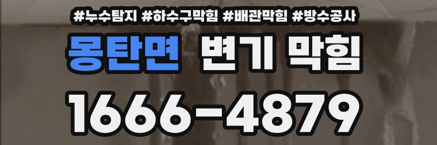몽탄면 변기 막힘