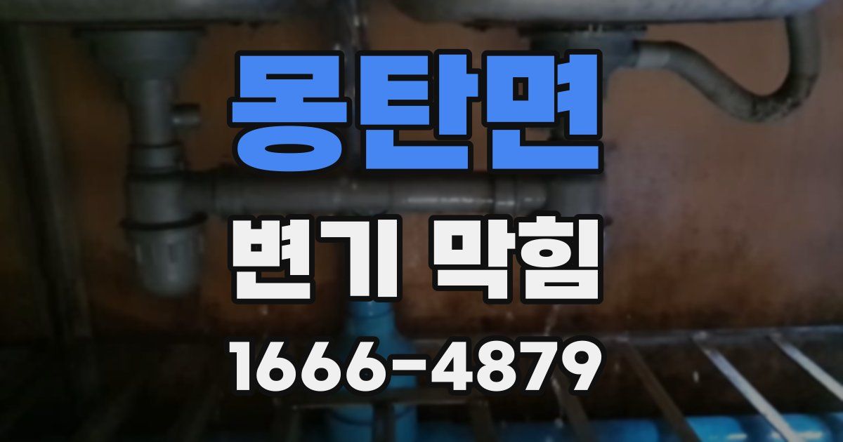 몽탄면 변기 막힘