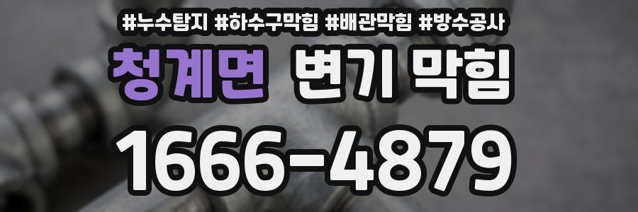 청계면 변기 막힘