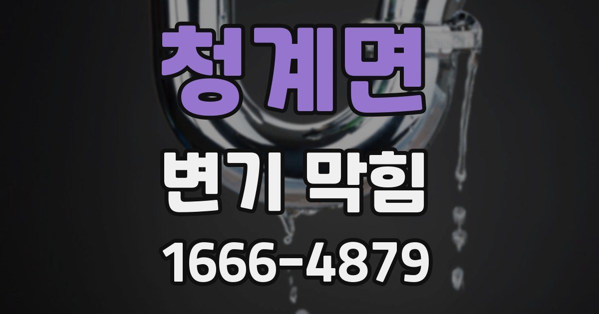 청계면 변기 막힘