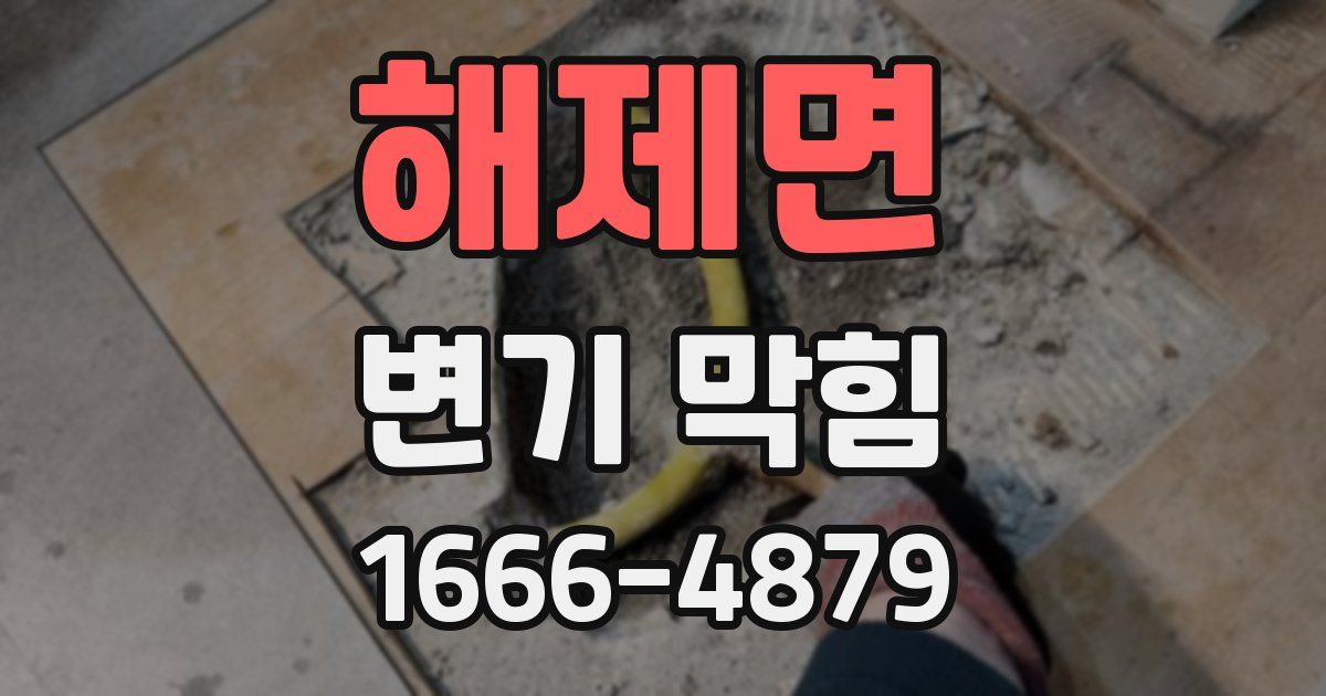 해제면 변기 막힘