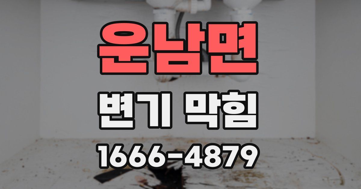 운남면 변기 막힘