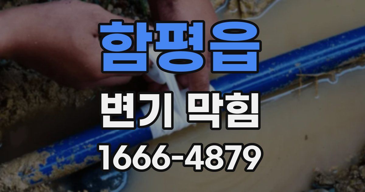 함평읍 변기 막힘