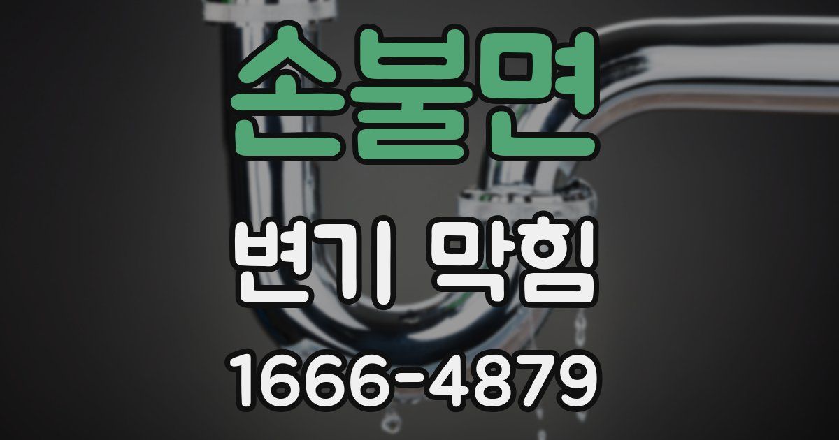 손불면 변기 막힘