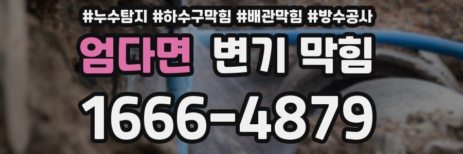 엄다면 변기 막힘