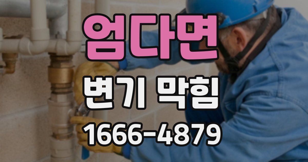 엄다면 변기 막힘
