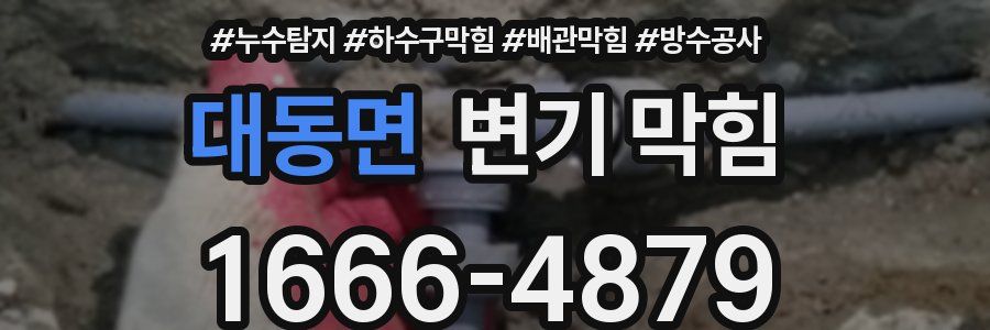대동면 변기 막힘