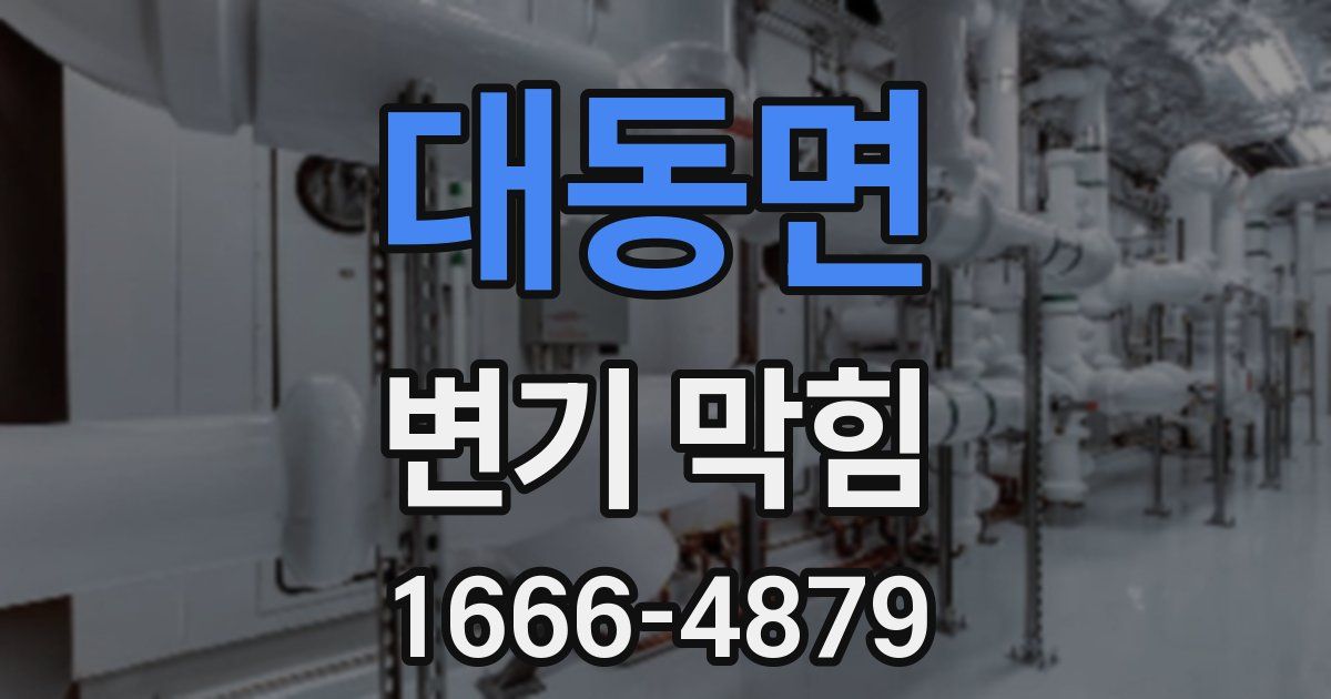 대동면 변기 막힘