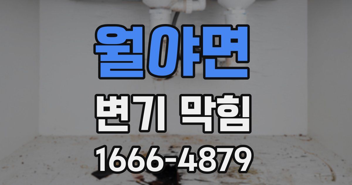 월야면 변기 막힘