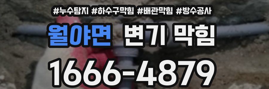 월야면 변기 막힘