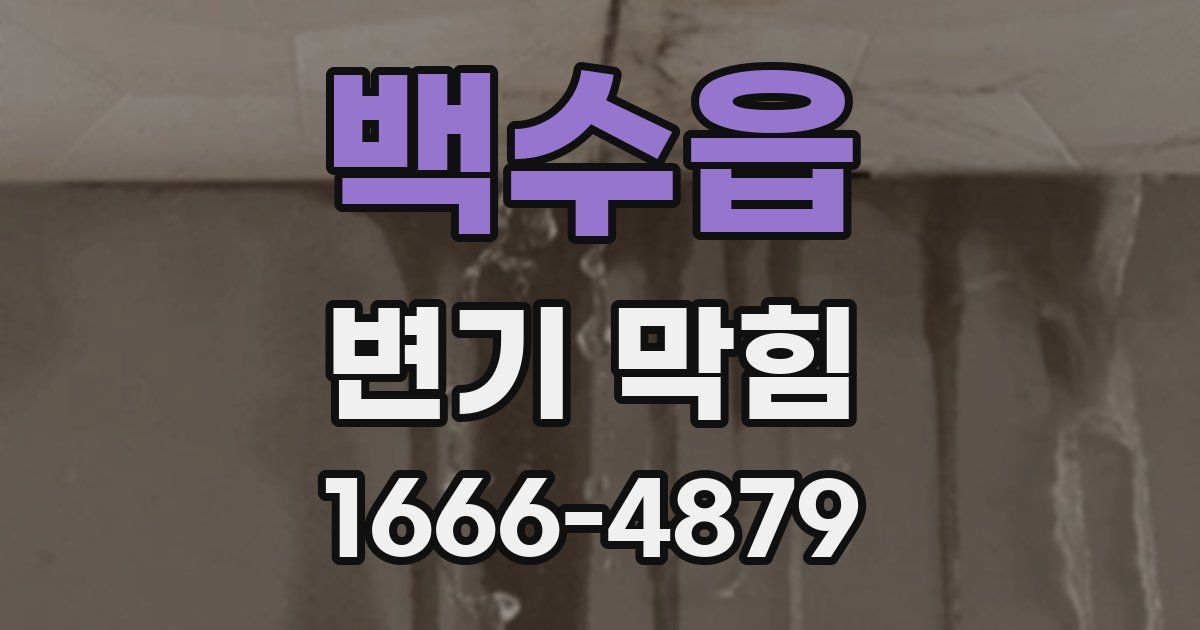 백수읍 변기 막힘