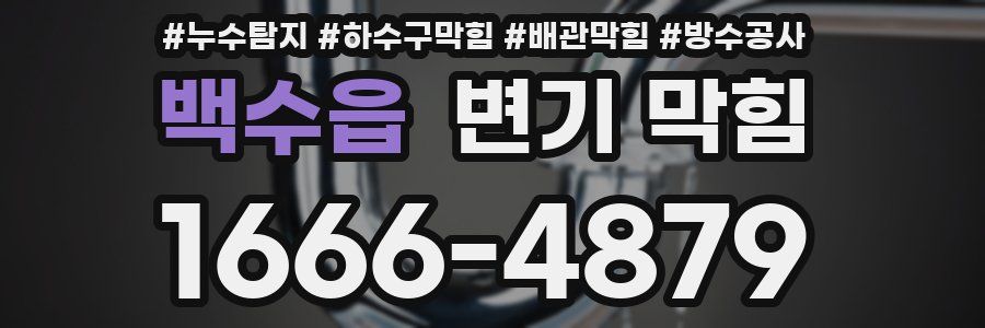 백수읍 변기 막힘