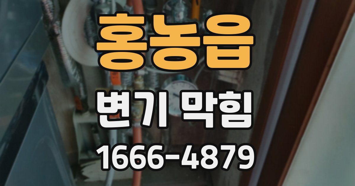 홍농읍 변기 막힘