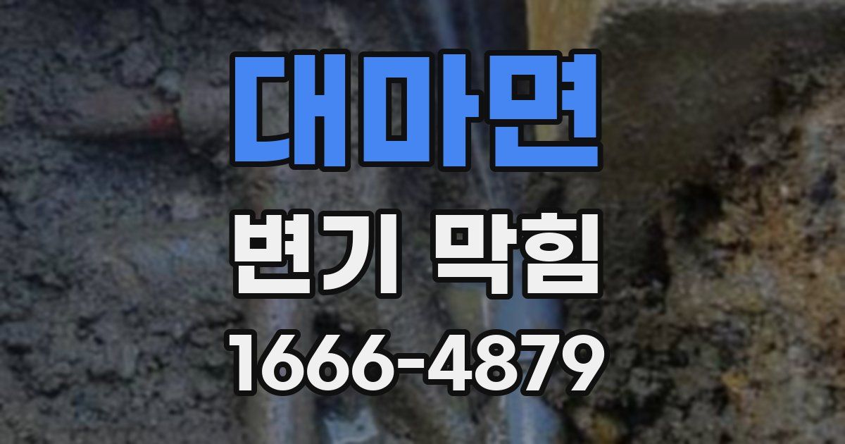 대마면 변기 막힘