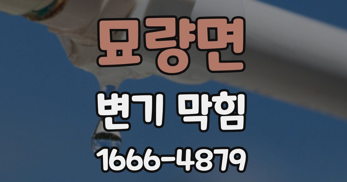 묘량면 변기 막힘