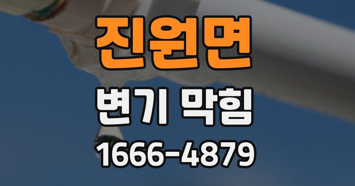 진원면 변기 막힘