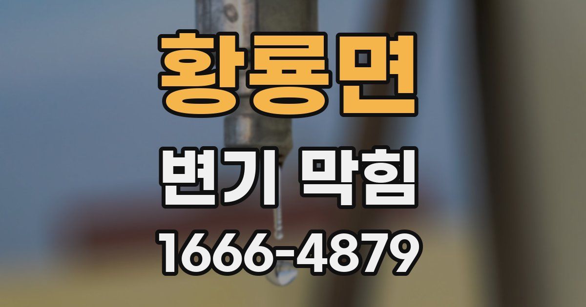 황룡면 변기 막힘