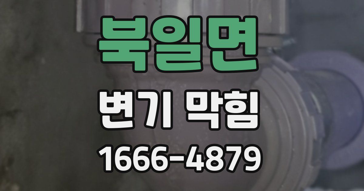 북일면 변기 막힘
