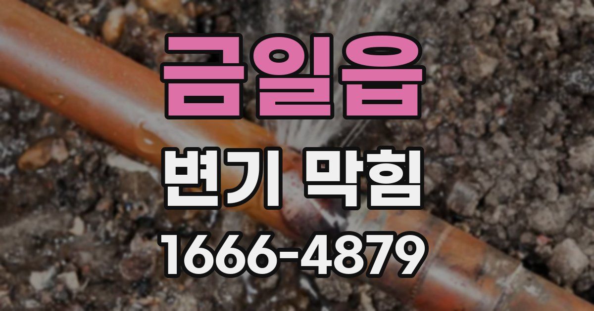 금일읍 변기 막힘