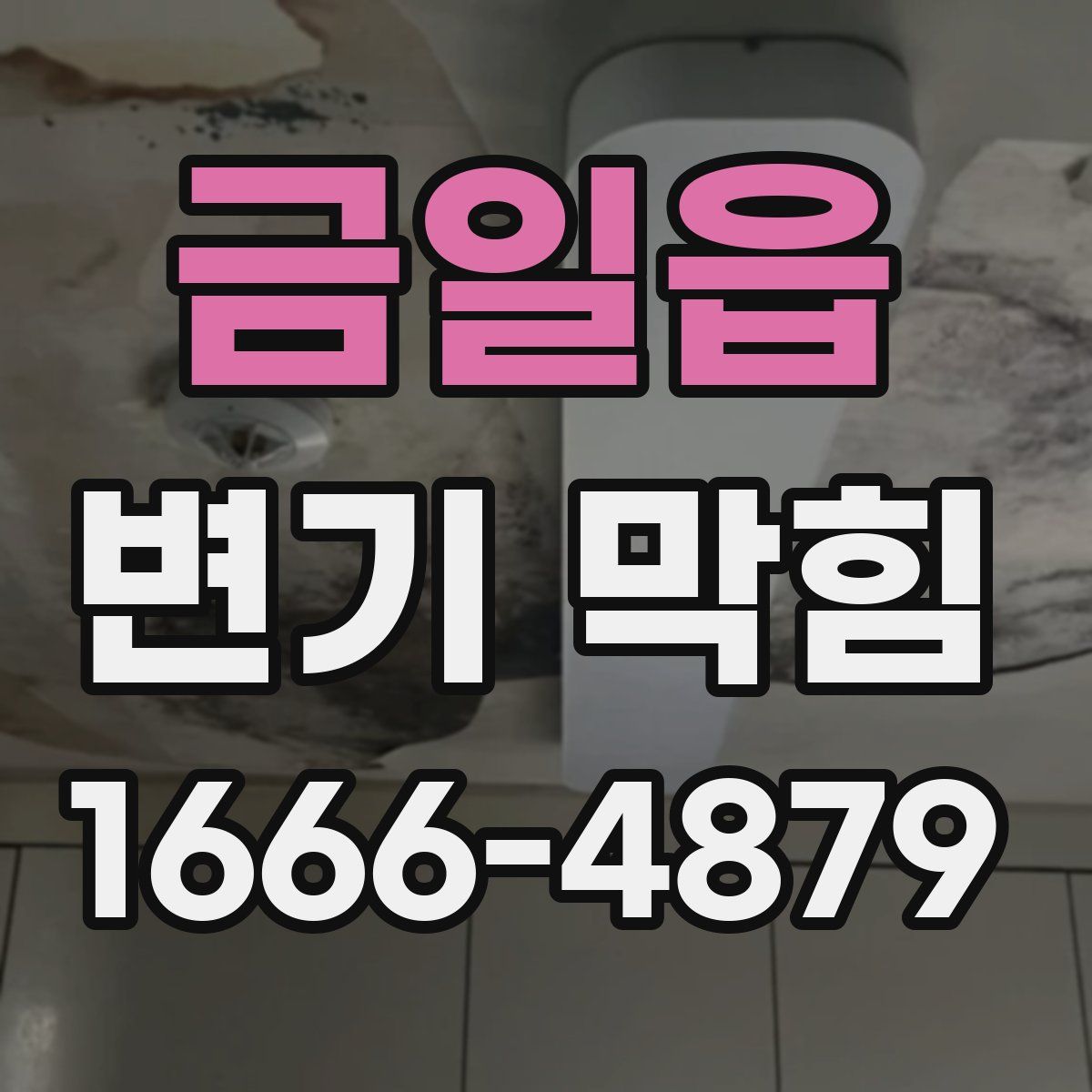 금일읍 변기 막힘