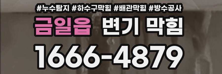 금일읍 변기 막힘