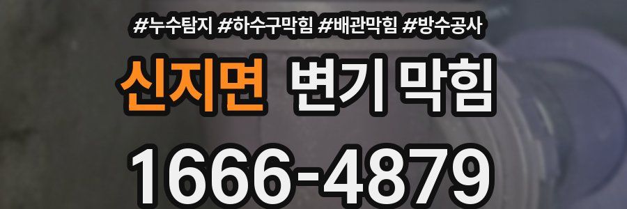 신지면 변기 막힘