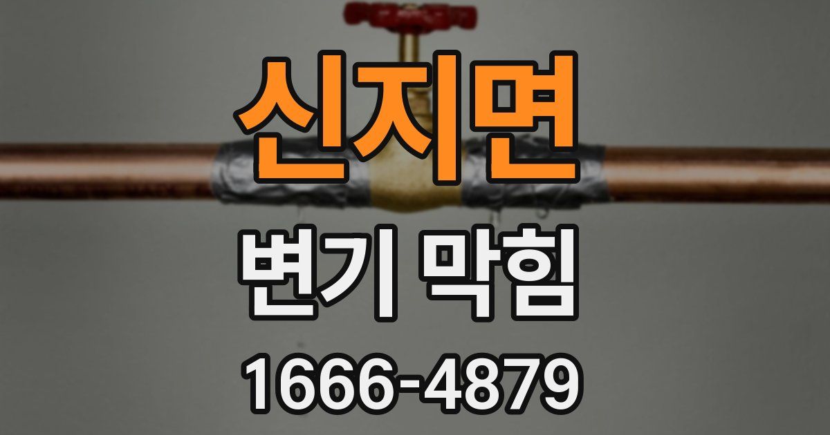 신지면 변기 막힘