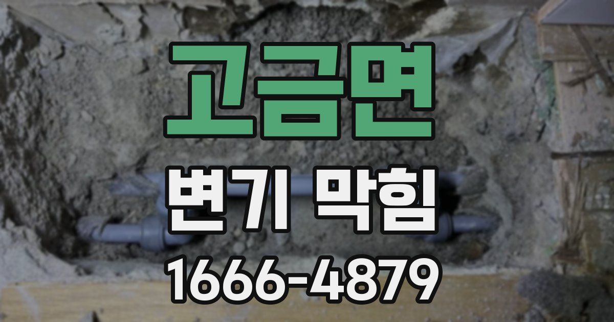 고금면 변기 막힘