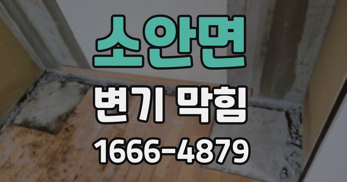 소안면 변기 막힘