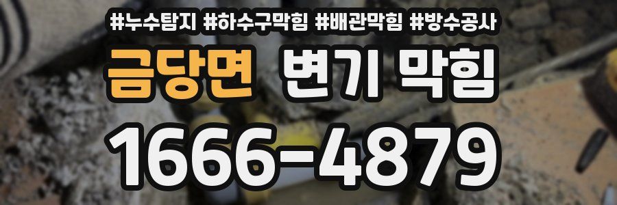 금당면 변기 막힘
