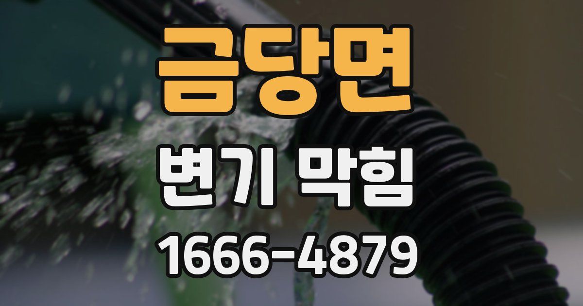 금당면 변기 막힘