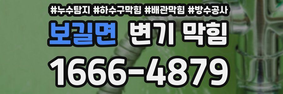 보길면 변기 막힘