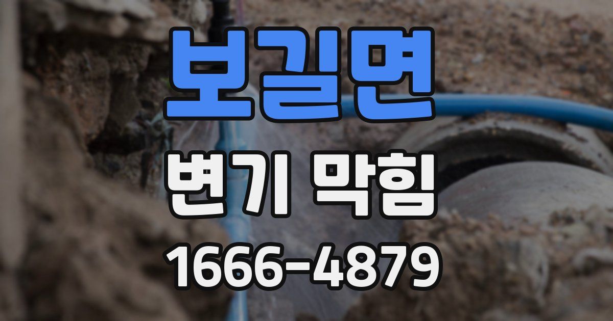 보길면 변기 막힘
