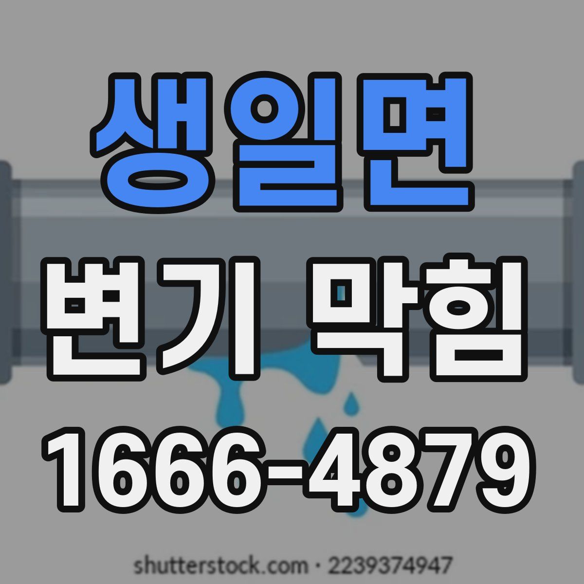 생일면 변기 막힘