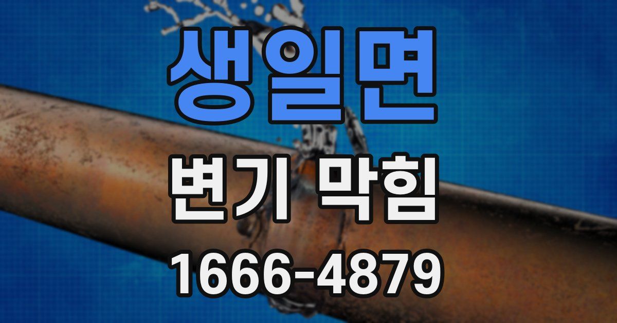 생일면 변기 막힘