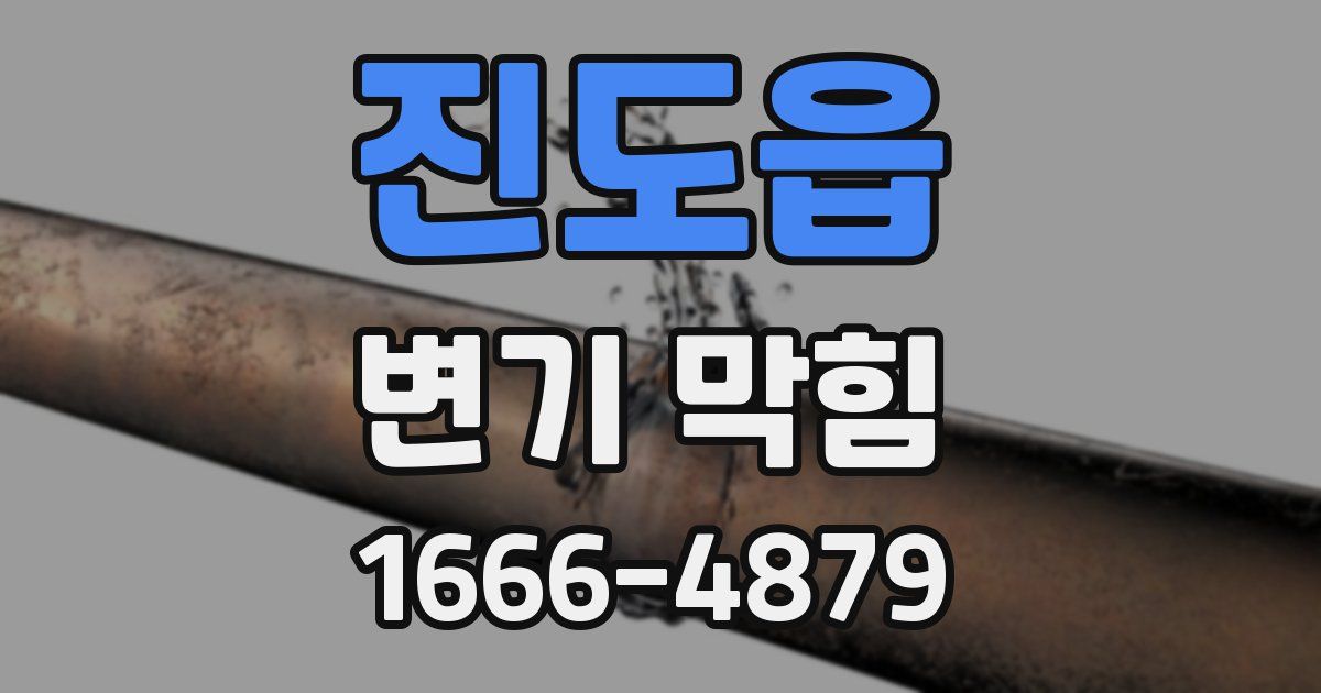 진도읍 변기 막힘