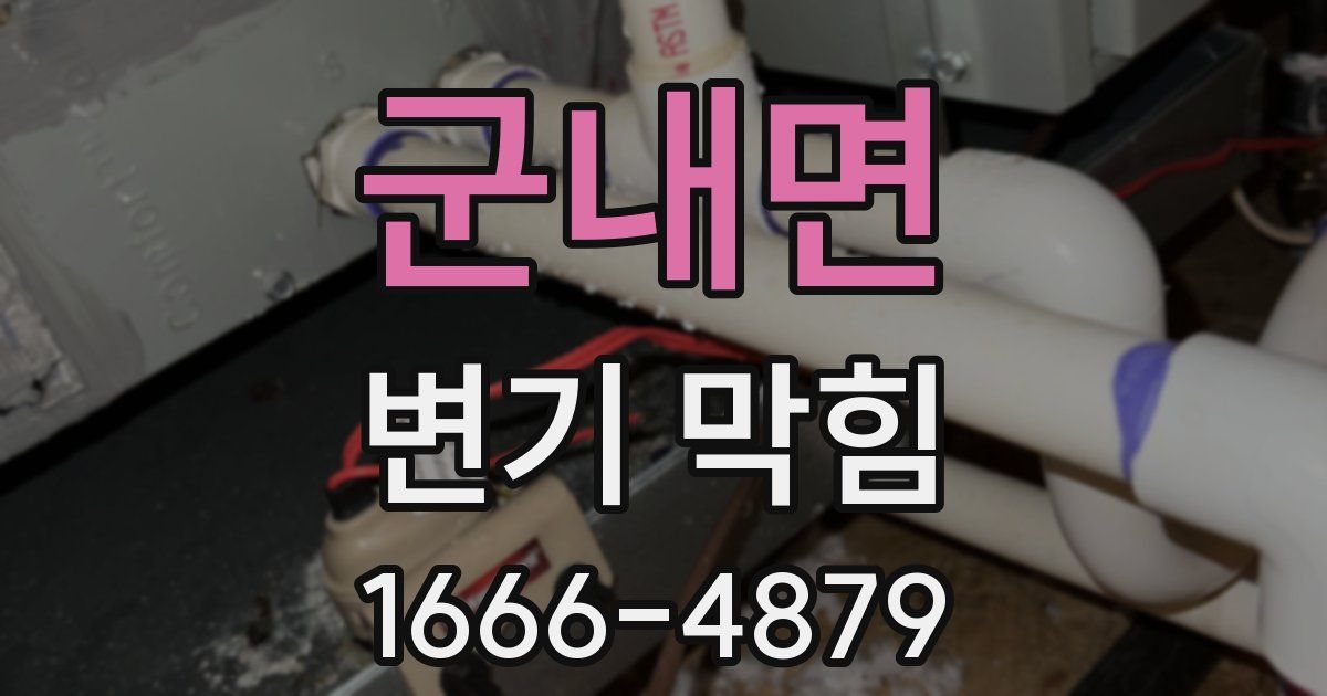 군내면 변기 막힘