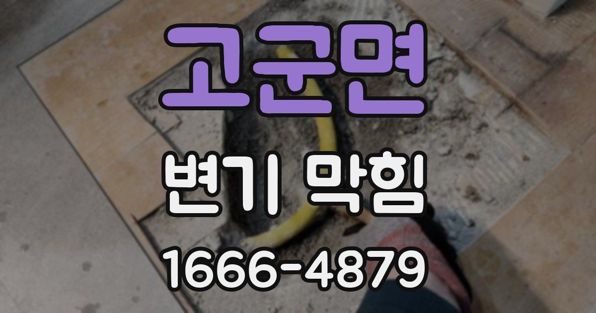 고군면 변기 막힘