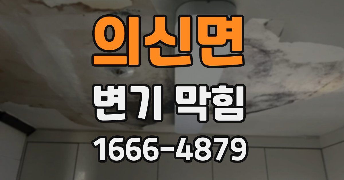 의신면 변기 막힘